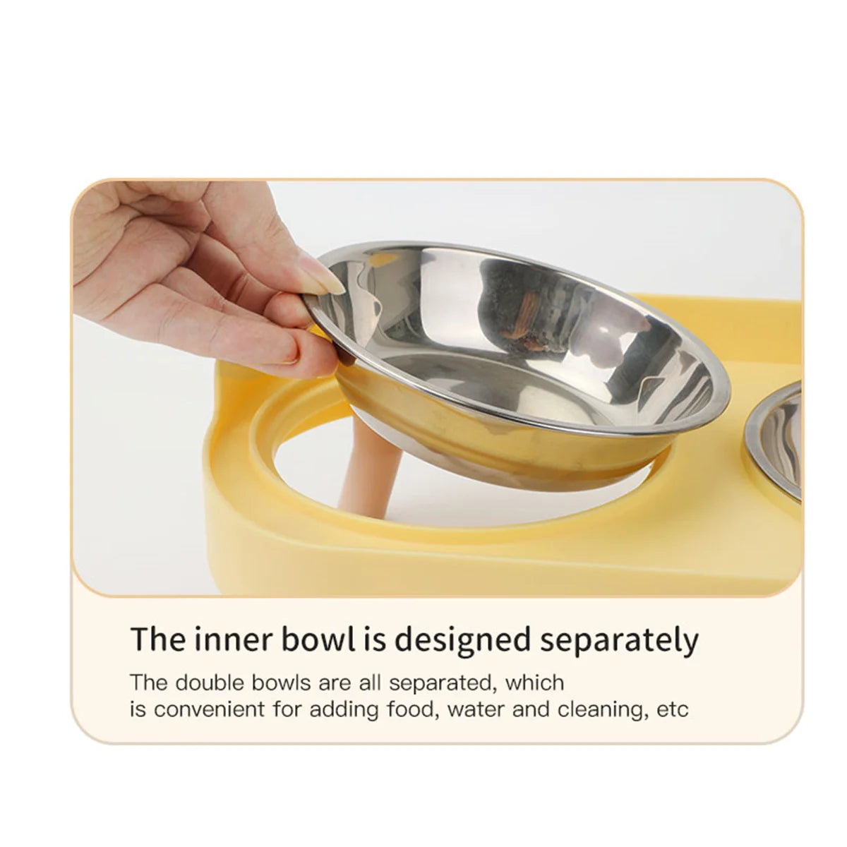 Colorful Stainless Steel Double Pet Bowl