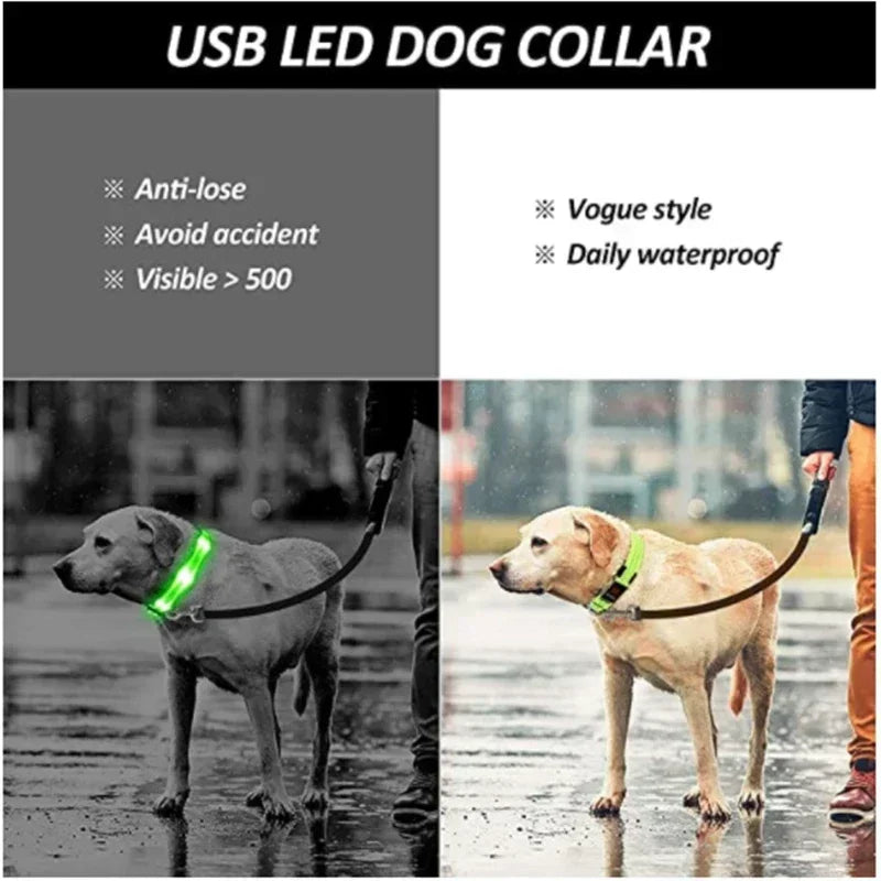 Rechargeable LED Glowing Dog Collar