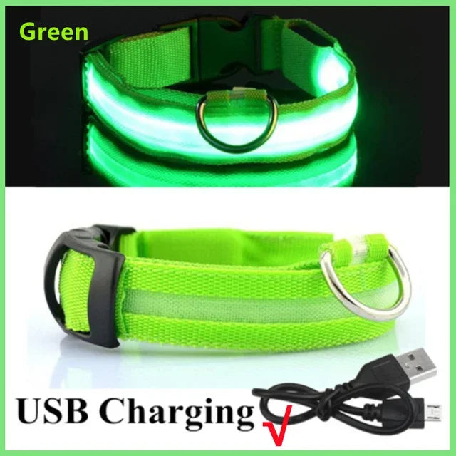 Rechargeable LED Glowing Dog Collar