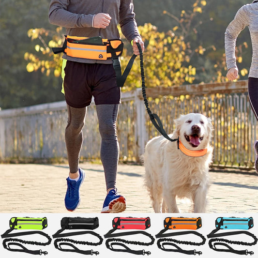 Hands-Free Dog Leash with Waist Bag