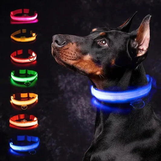 Rechargeable LED Glowing Dog Collar