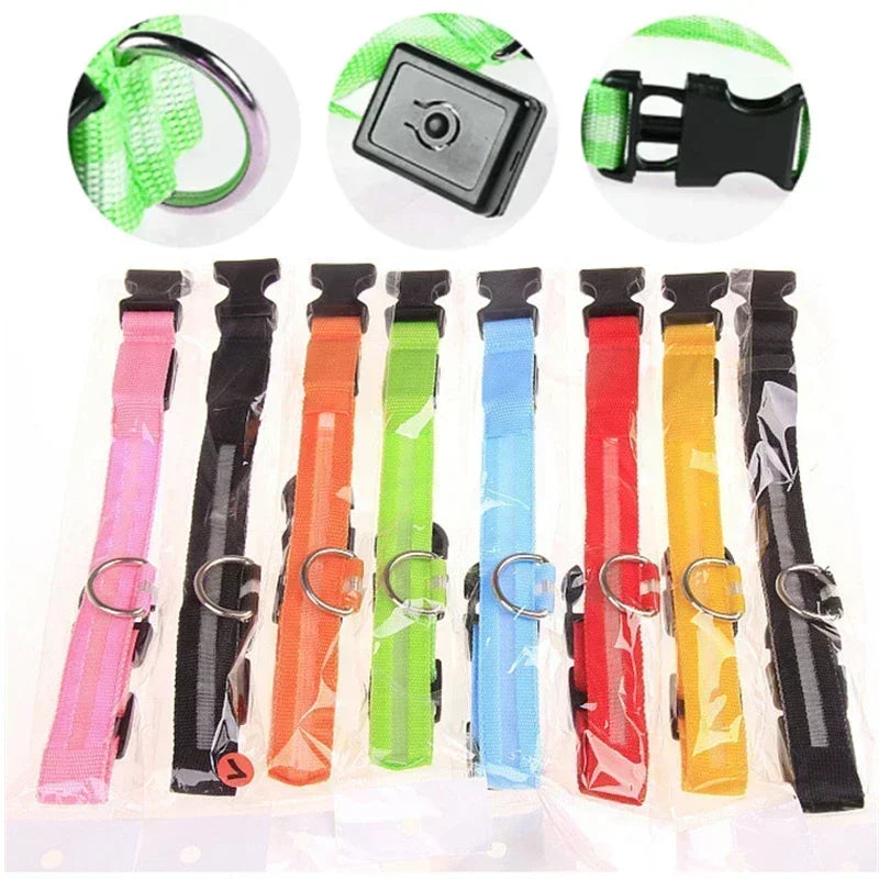 Rechargeable LED Glowing Dog Collar