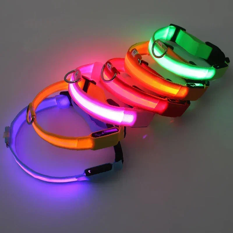 Rechargeable LED Glowing Dog Collar