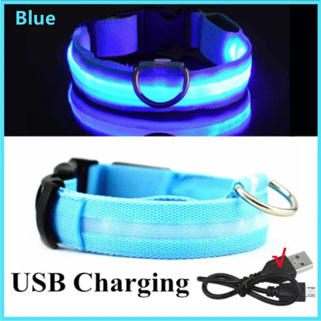 Rechargeable LED Glowing Dog Collar