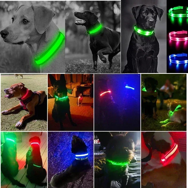 Rechargeable LED Glowing Dog Collar