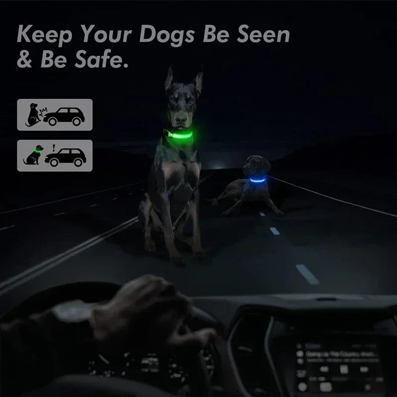 Rechargeable LED Glowing Dog Collar