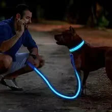Rechargeable LED Glowing Dog Collar
