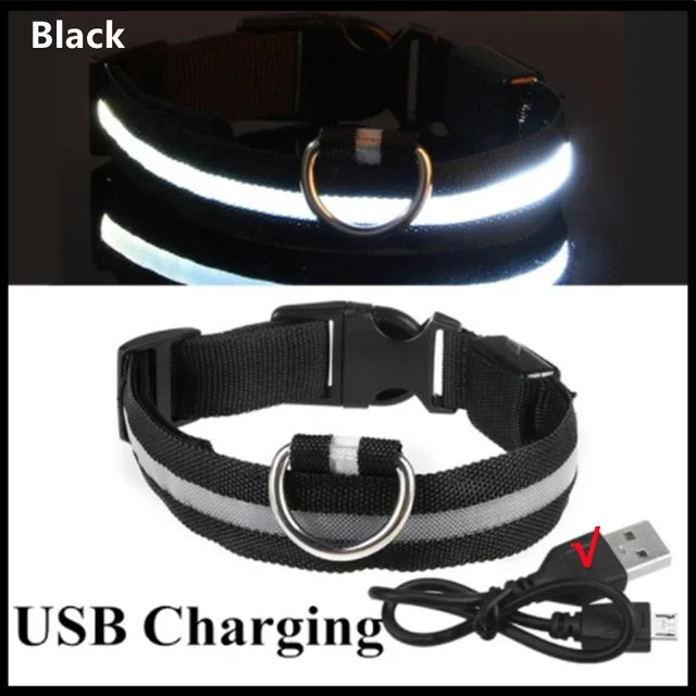 Rechargeable LED Glowing Dog Collar