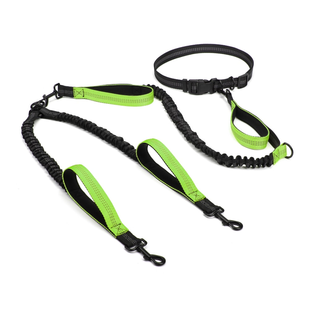 Hands Free Dog Leash