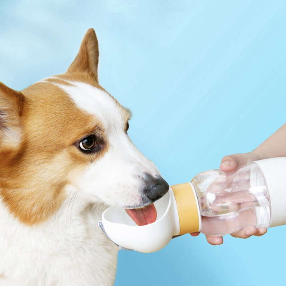 Portable Dog Water Bottle