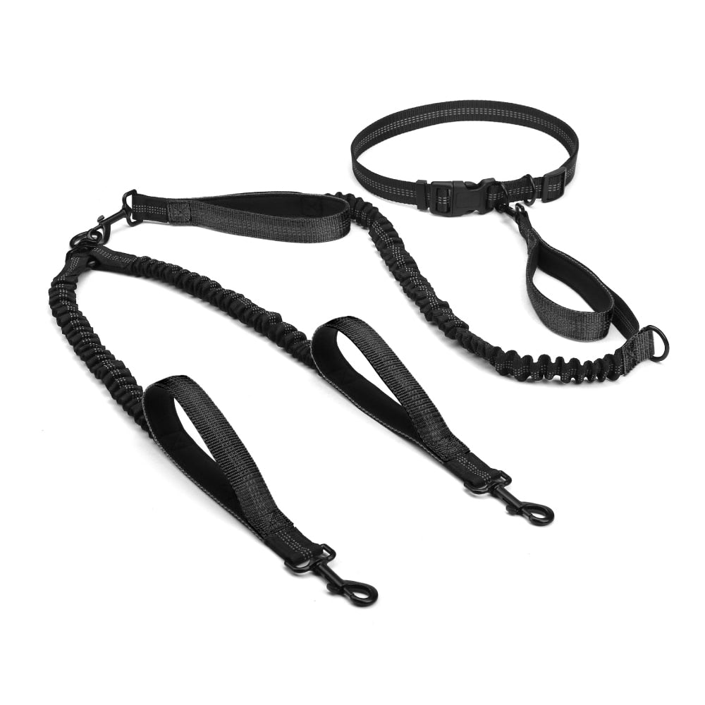 Hands Free Dog Leash