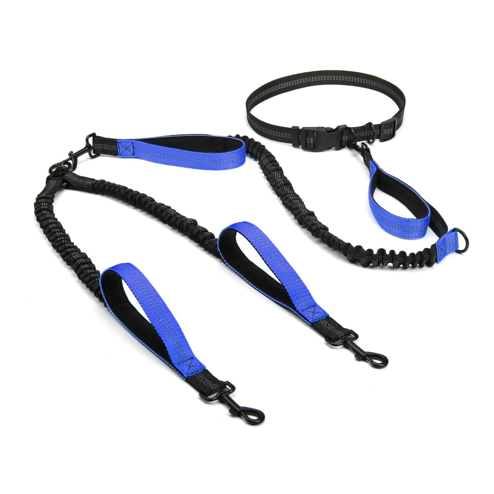 Hands Free Dog Leash